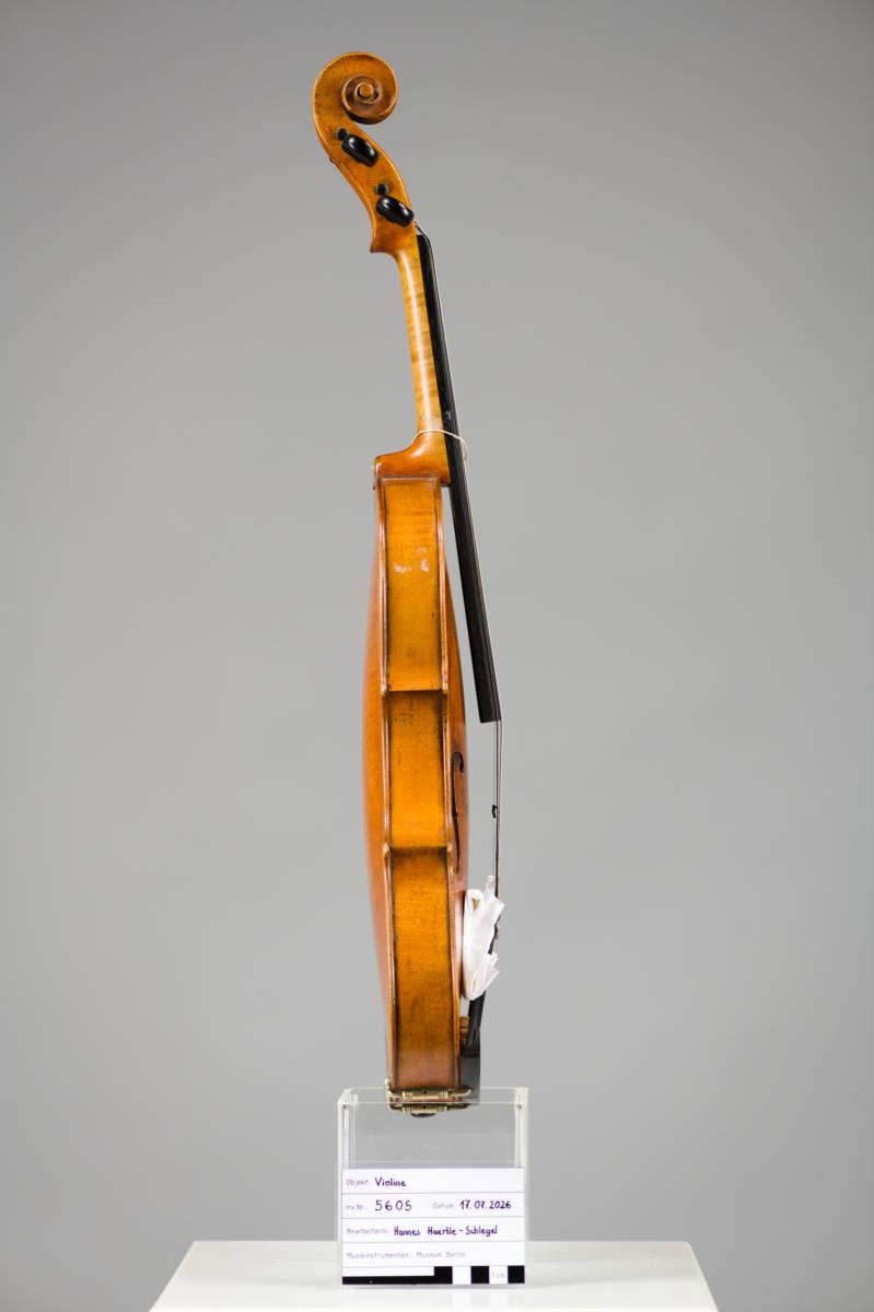 Violine