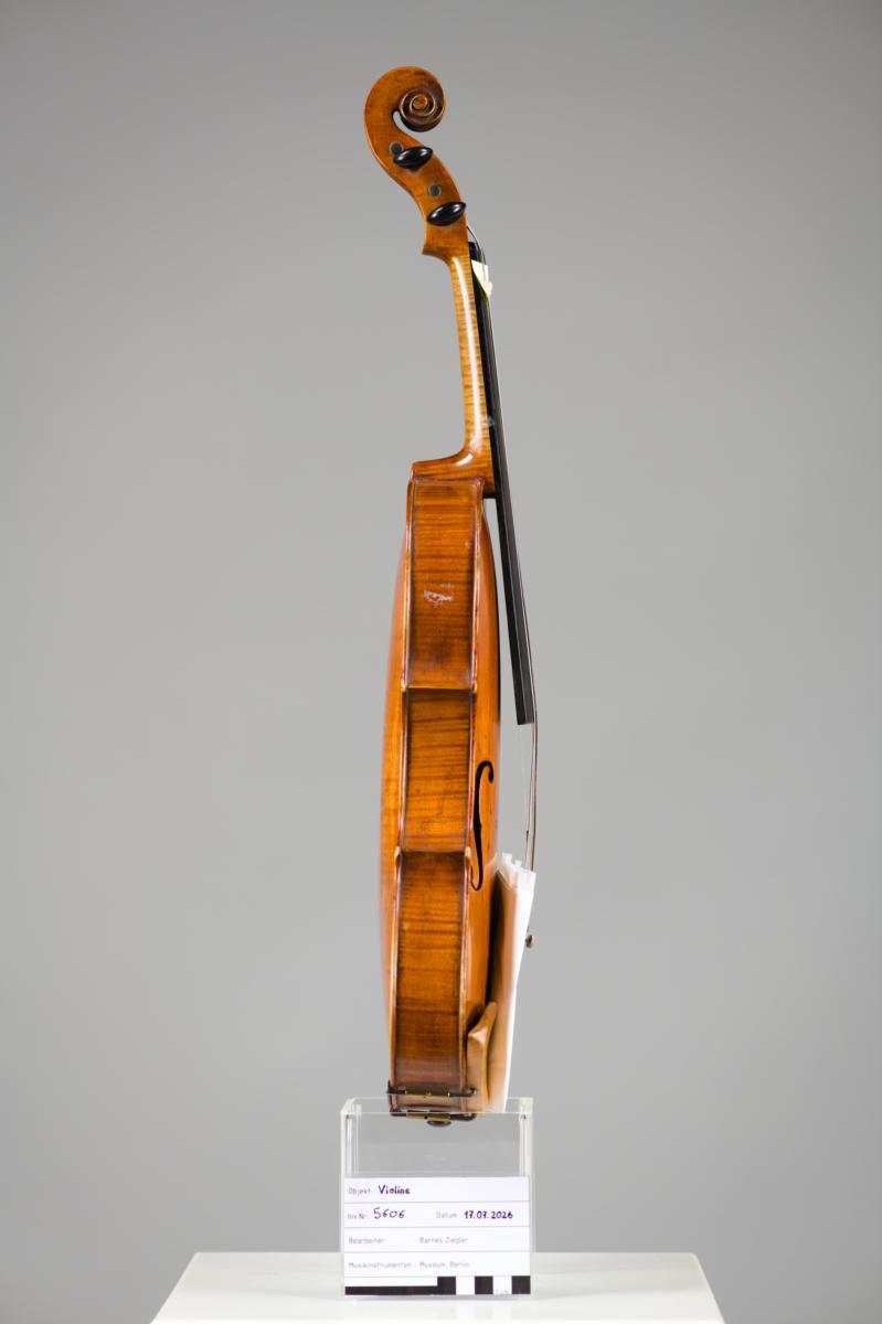 Violine