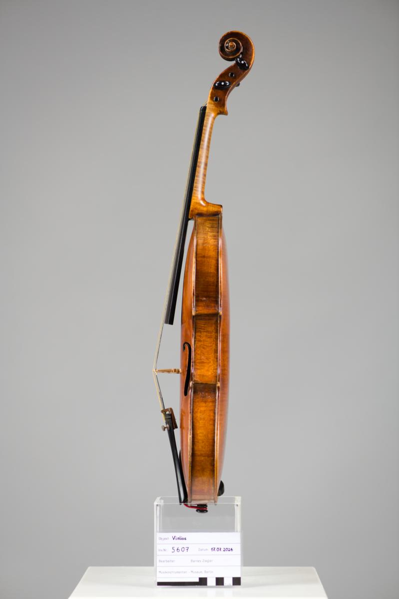 Violine