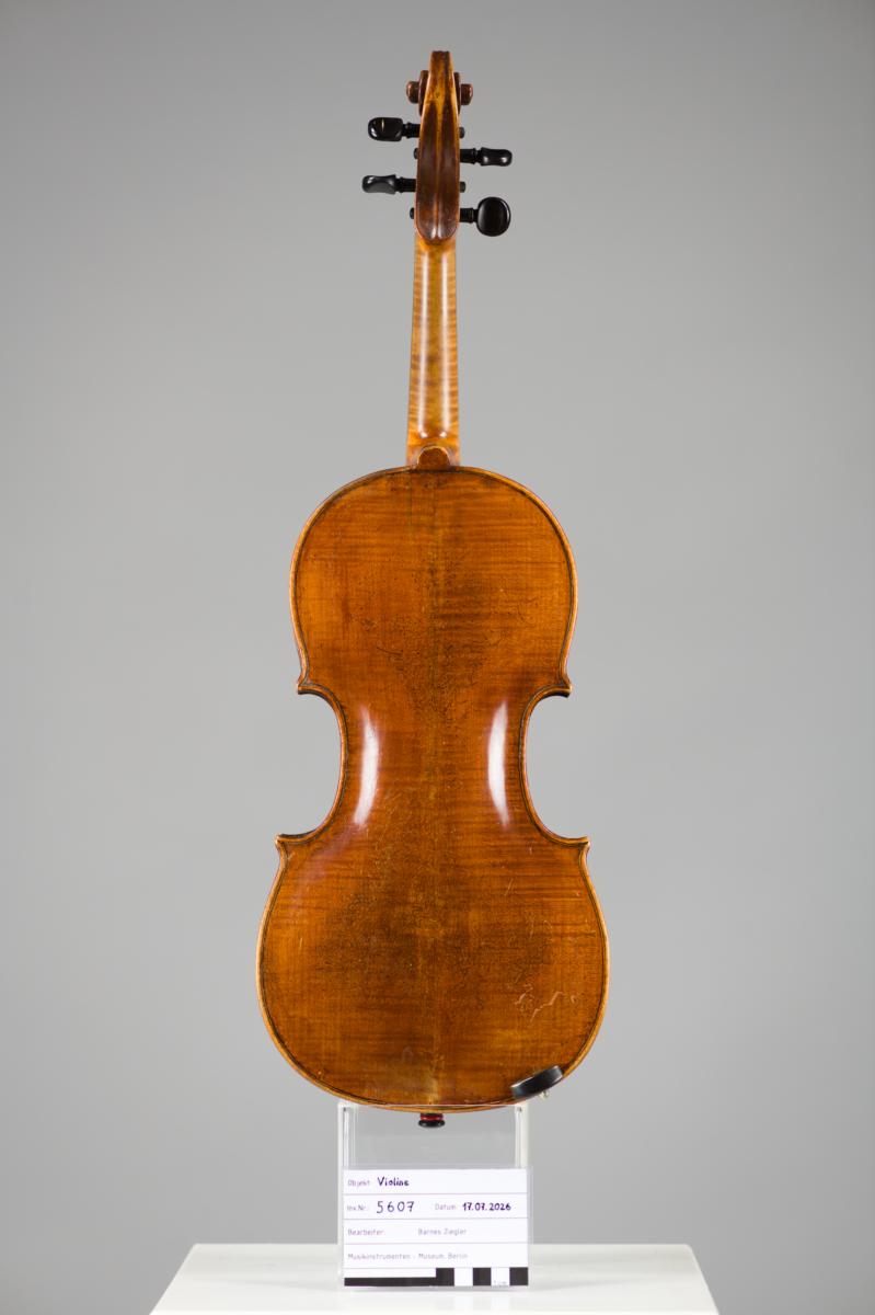 Violine