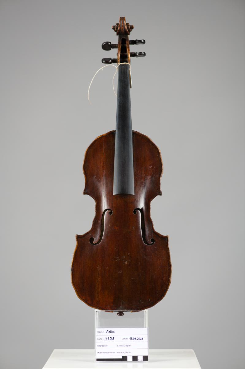 Violine