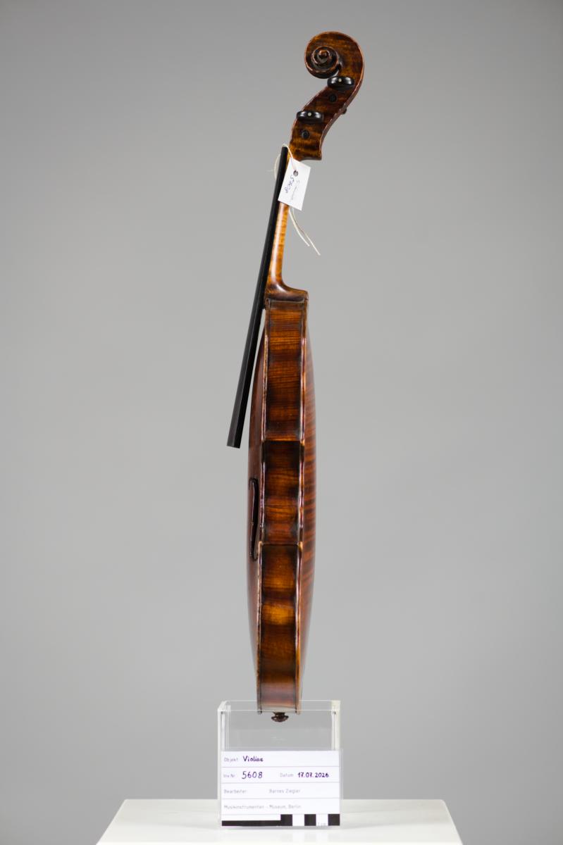 Violine