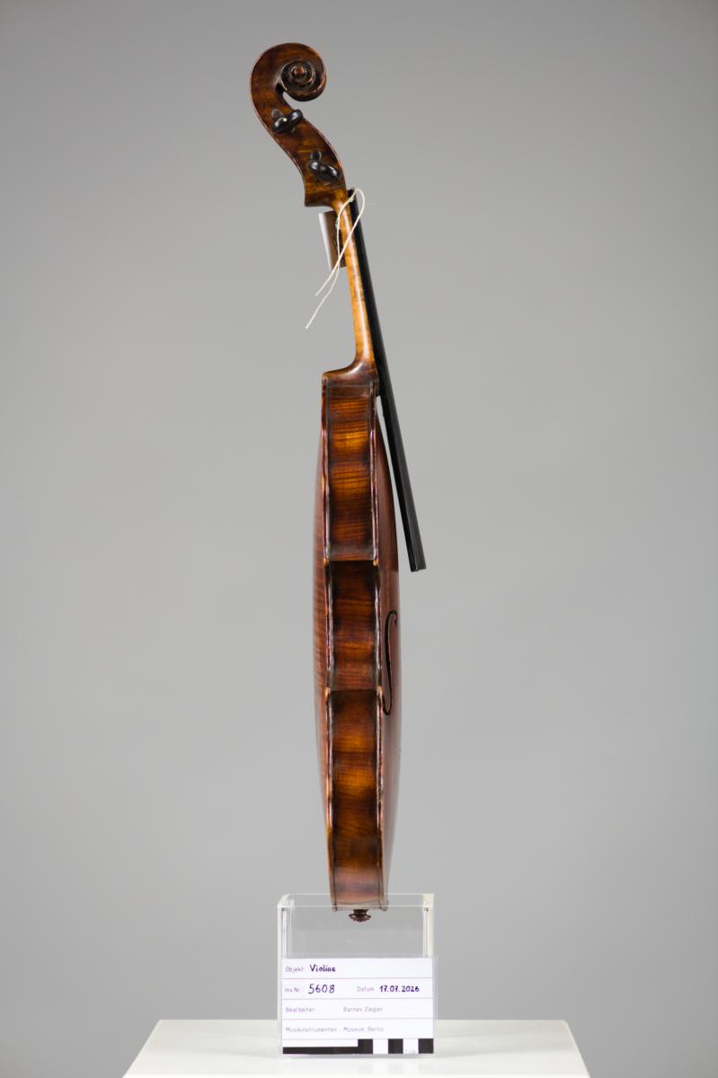 Violine