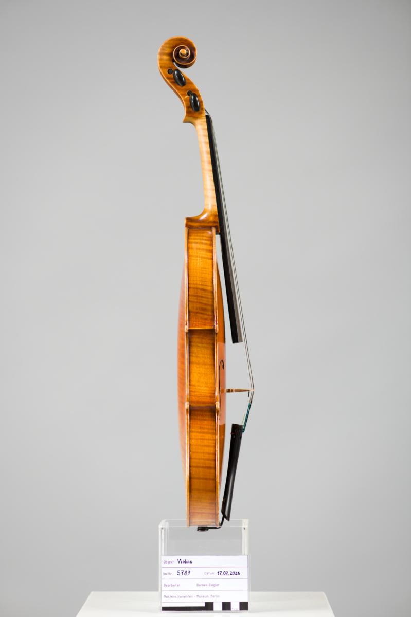 Violine