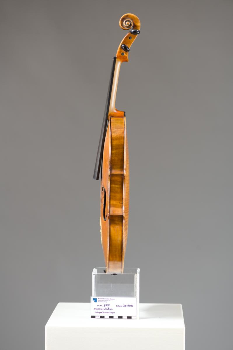 Violine
