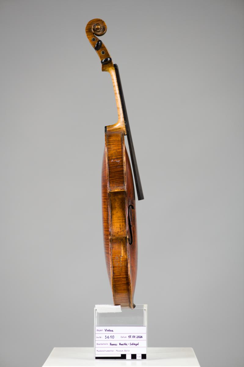 Violine