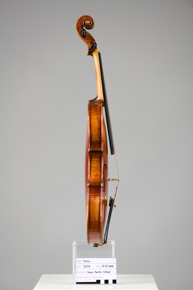 Violine