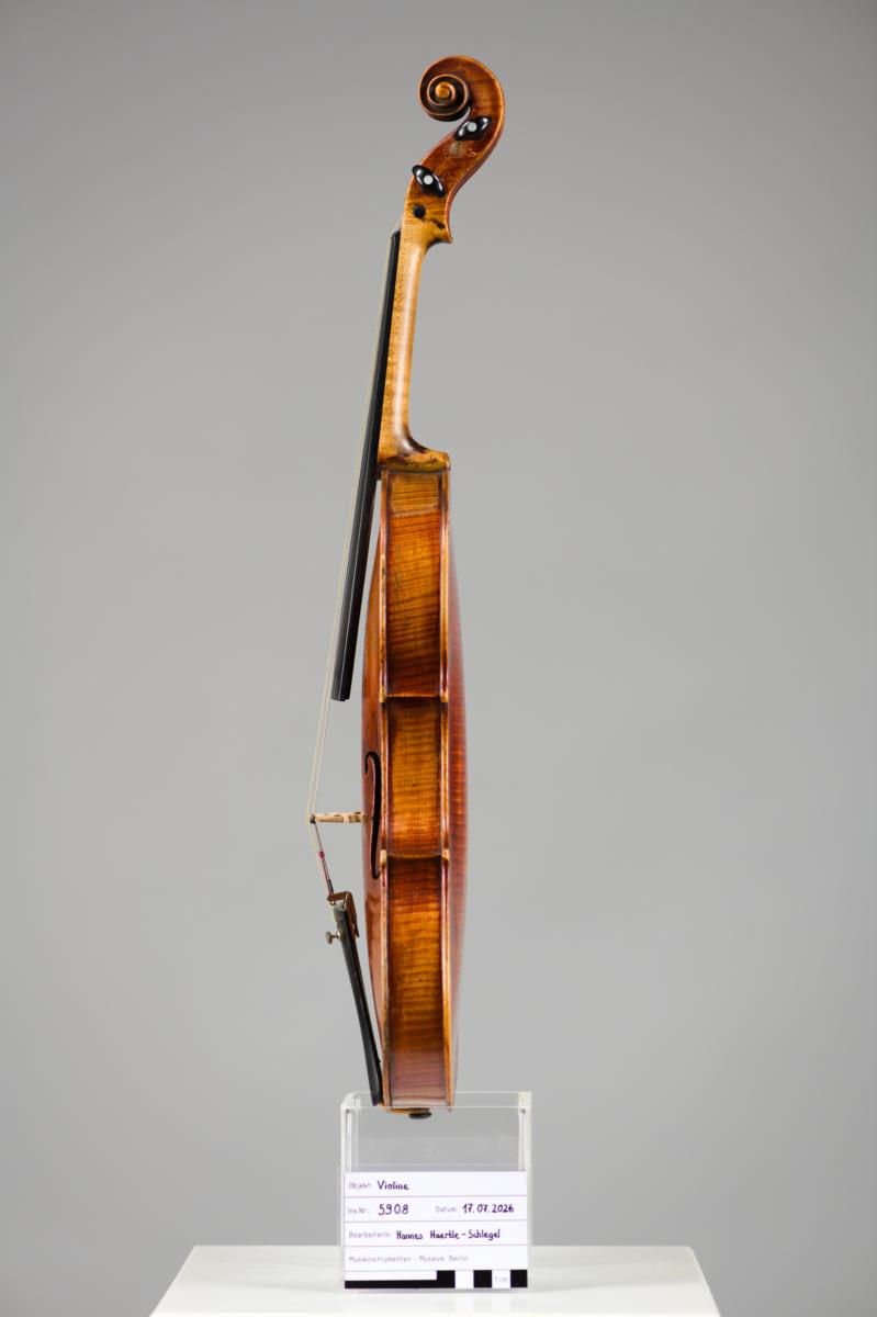 Violine