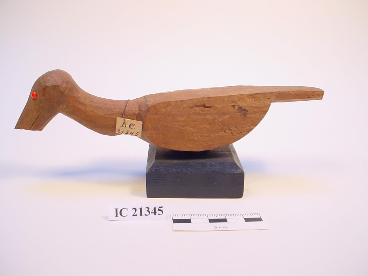 Vogel