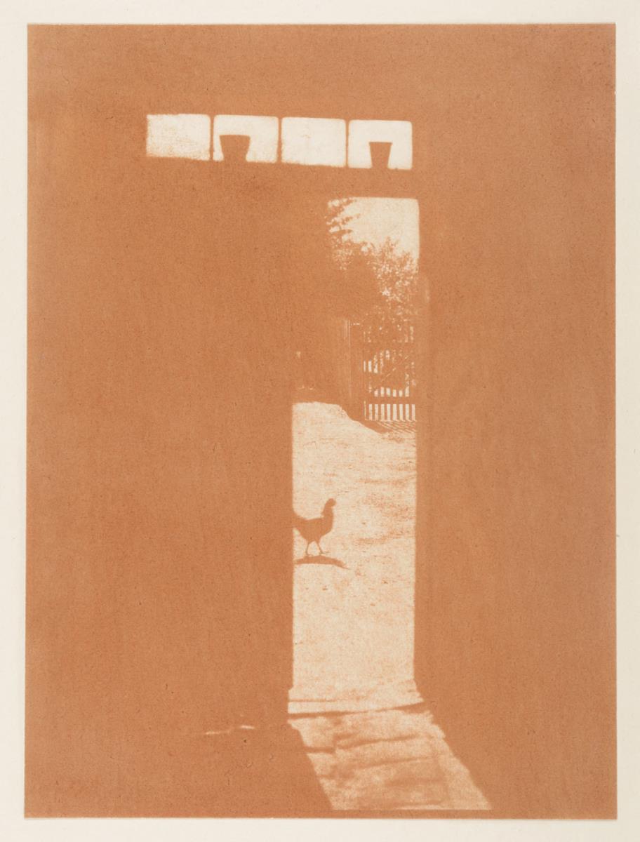 Sonnenschein