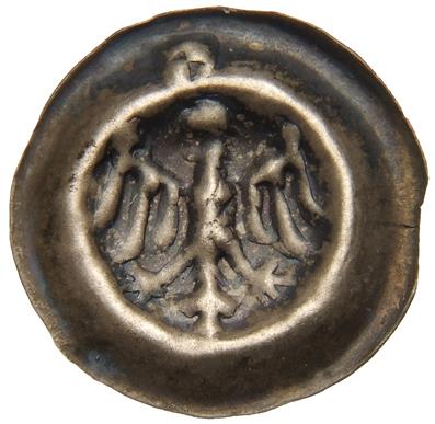 Brandenburg: Hohenzollern