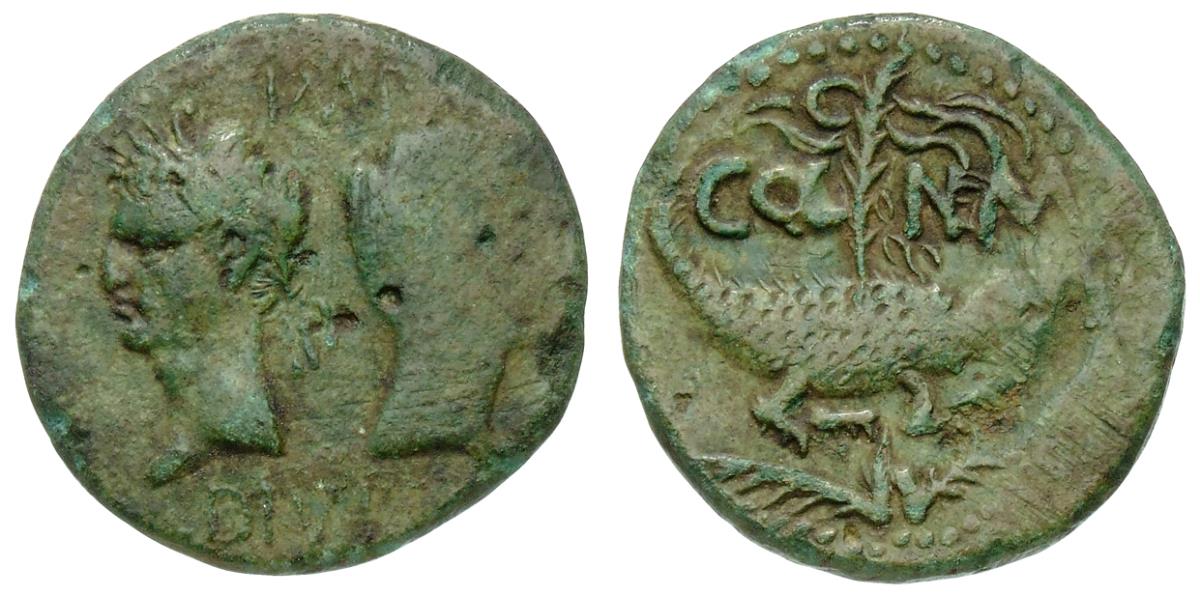 Augustus