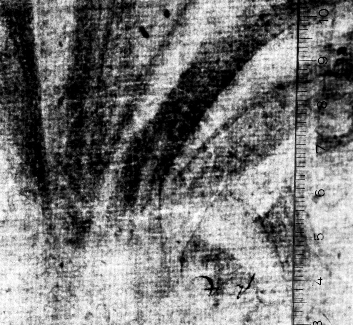 Studie zur Maria der Verkündigung des Isenheimer Altars