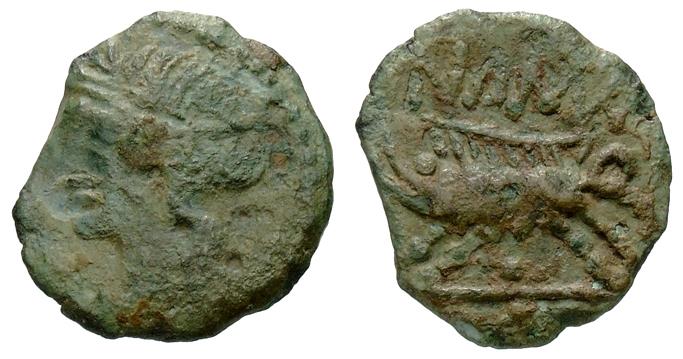 Nemausus