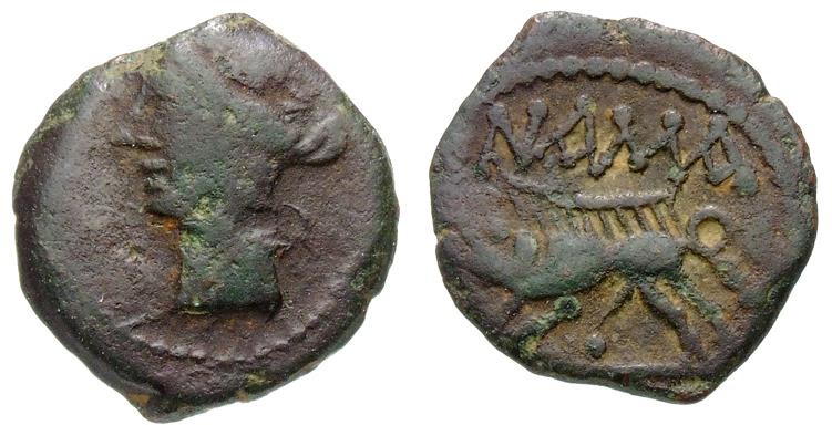 Nemausus