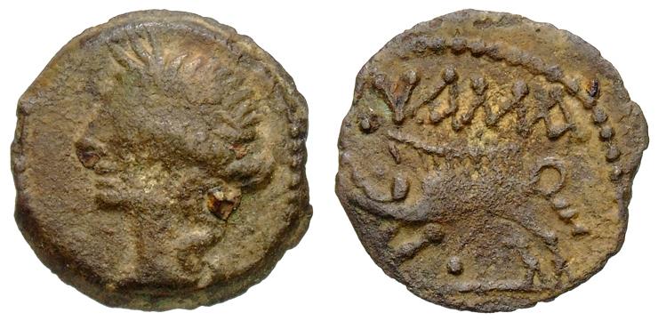 Nemausus
