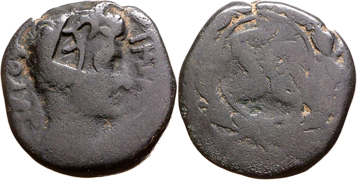 Syria: Augustus