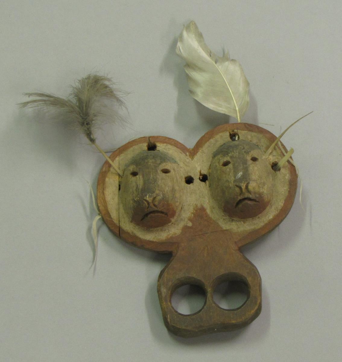 Walross Darstellung