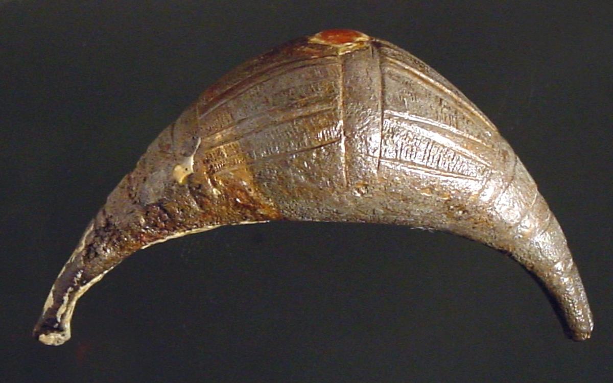 Fibel mit vollem, geschlossenem, geschwelltem Bügel; gravierte Streifen und konzentrische Kreise auf dem ... Bügel; Nadel fehlt; an den Bügel festgerostet ein Ring mit gravierten Linien
