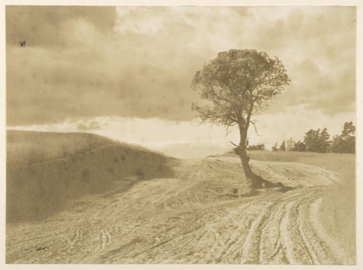 Sandige Heide
