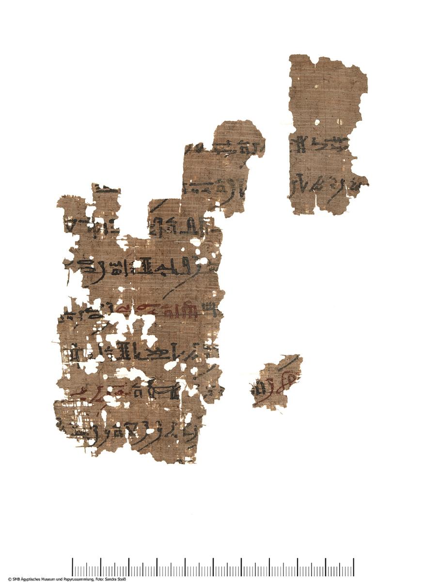 Hieratischer Papyrus mit einer Version vom "Buch vom Tempel"