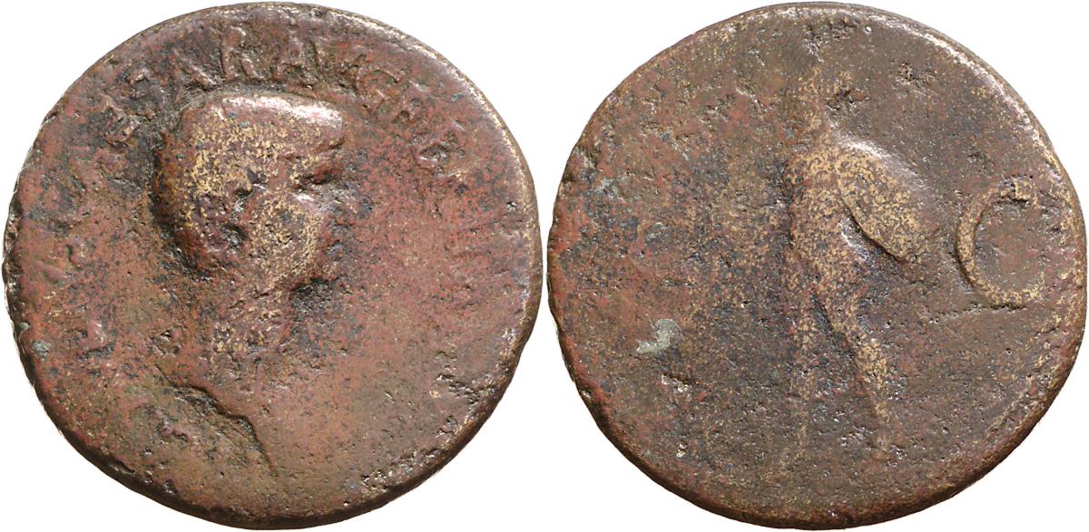 Britannicus