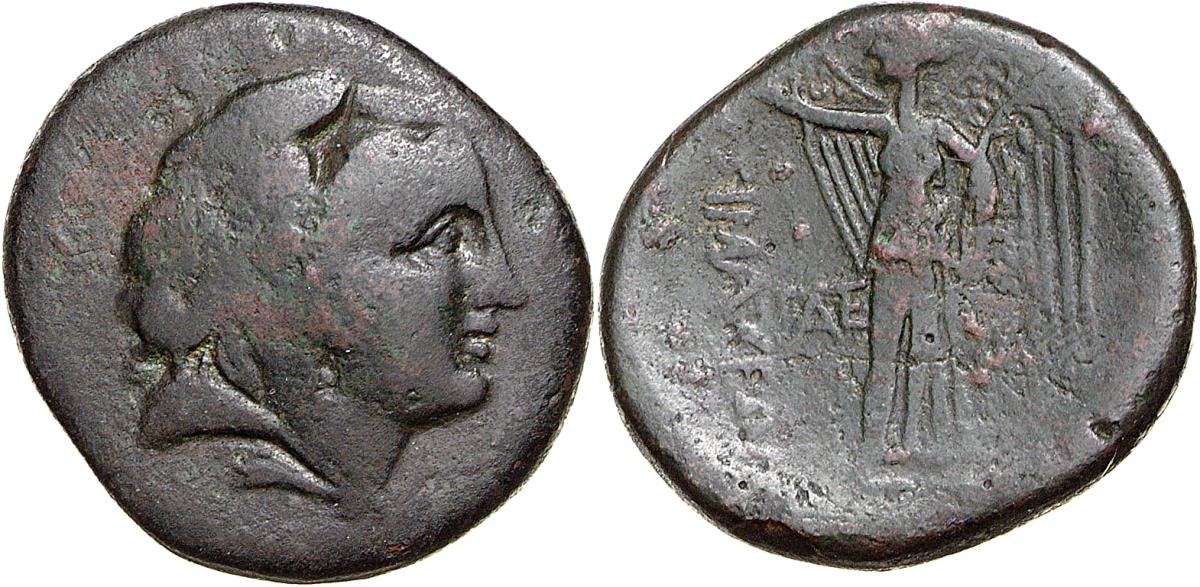 Lysimacheia