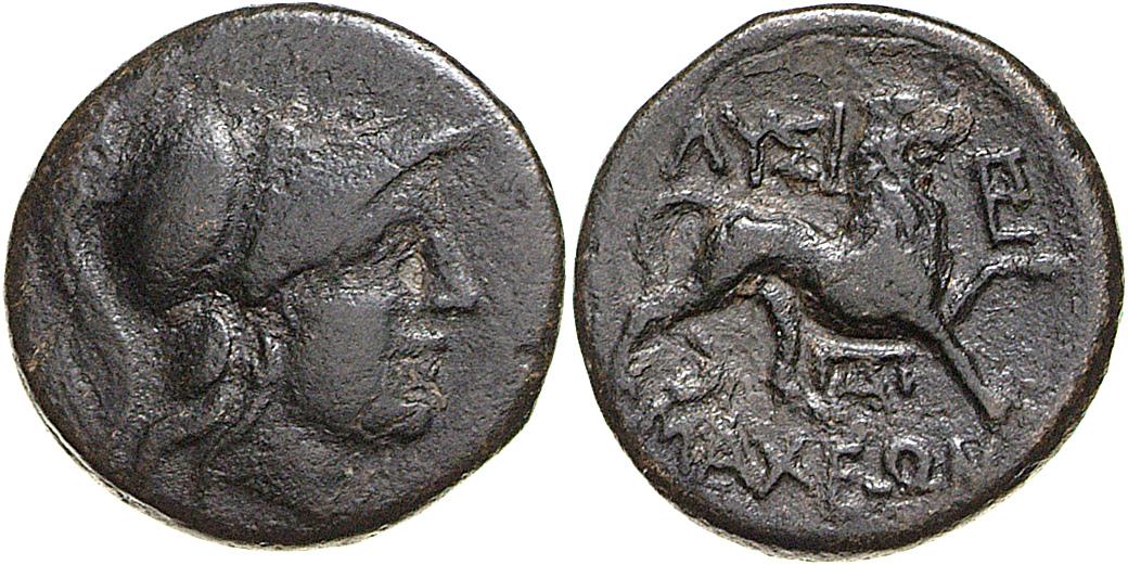 Lysimacheia