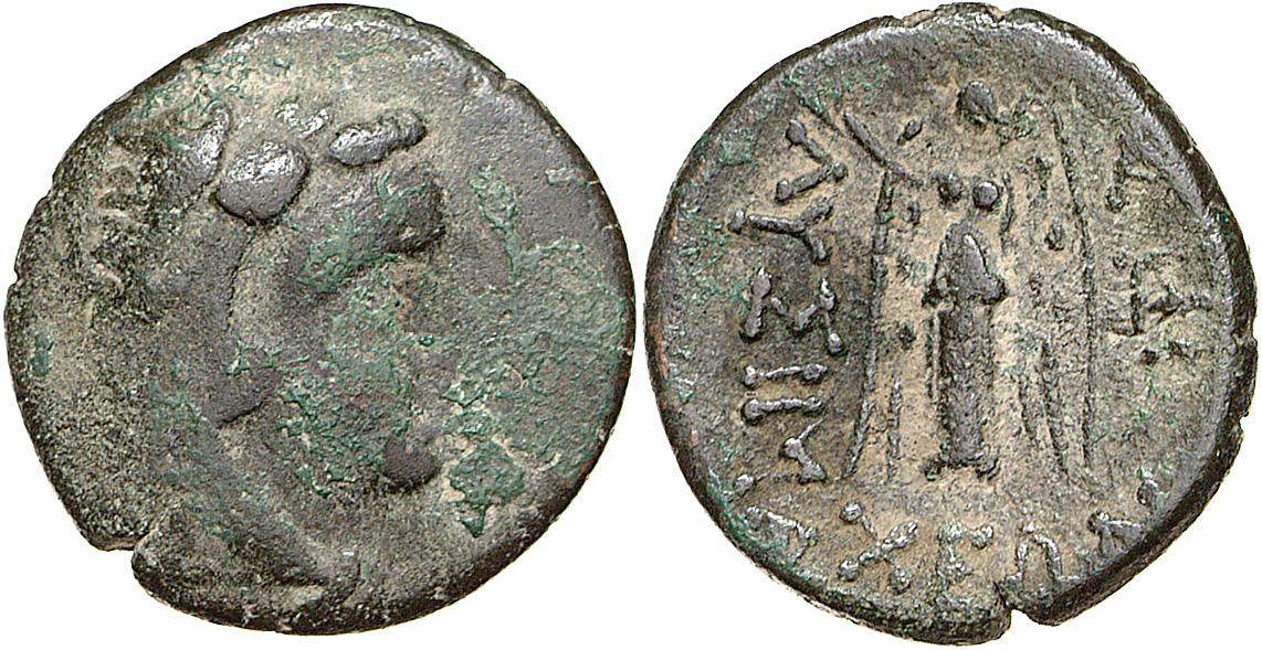 Lysimacheia