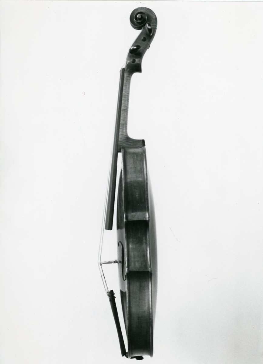 Violine