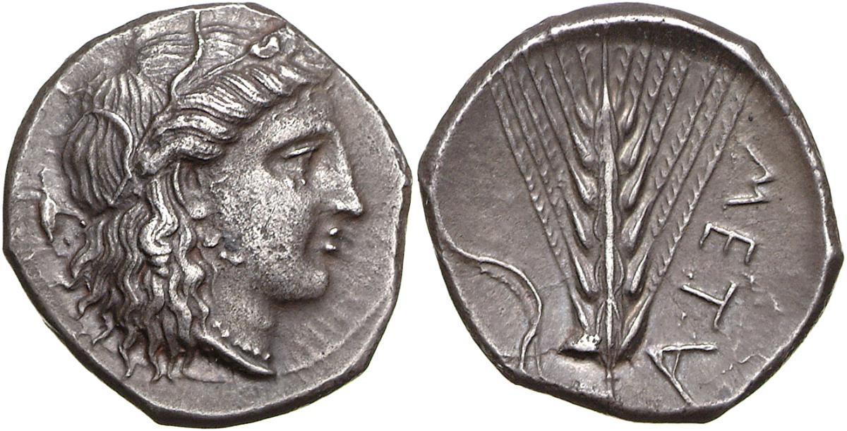 Metapont