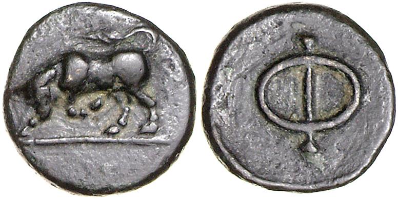 Phleius