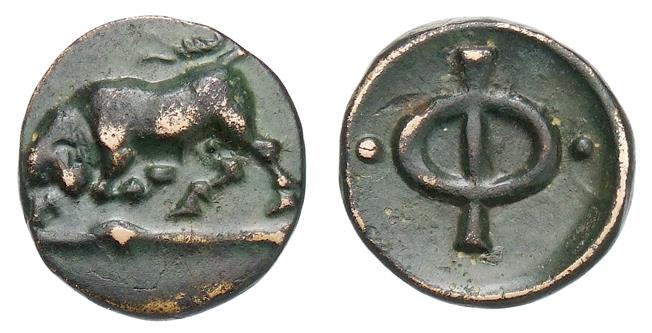 Phleius