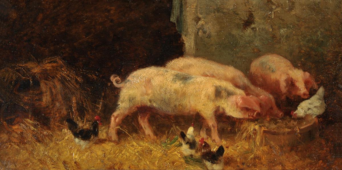Schweinestall