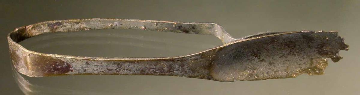 Strigilis