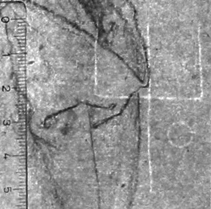 Die hl. Magdalena