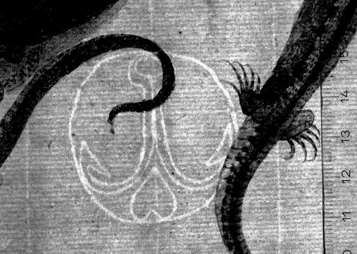 Fünf Eidechsen und (links) ein Hirschkäfer