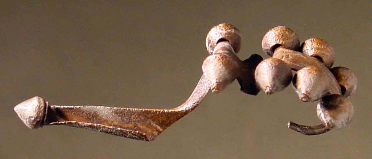 Fibel mit Knoten