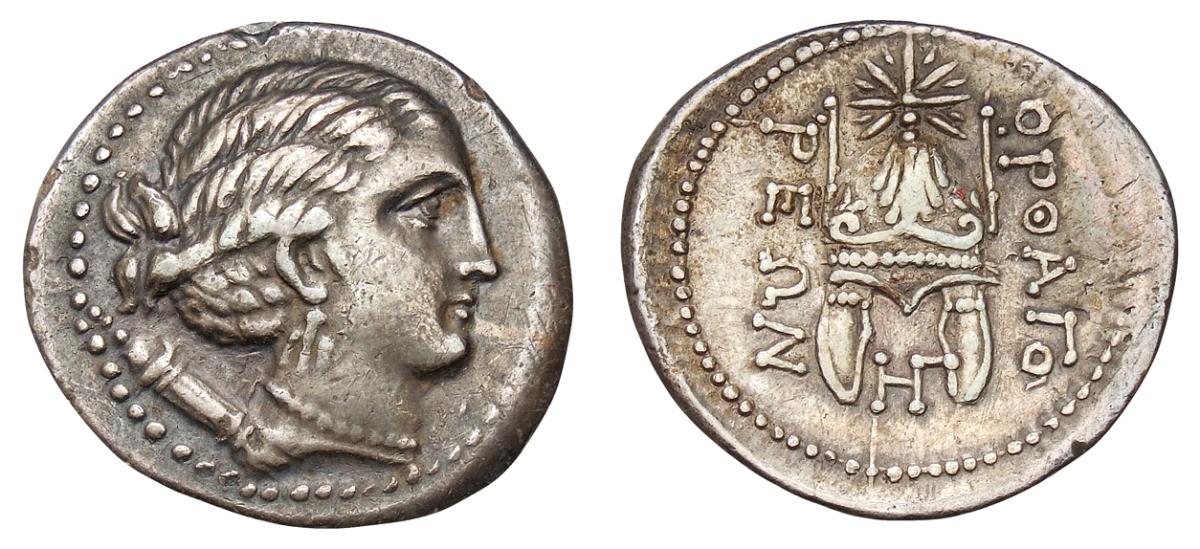 Orthagoria