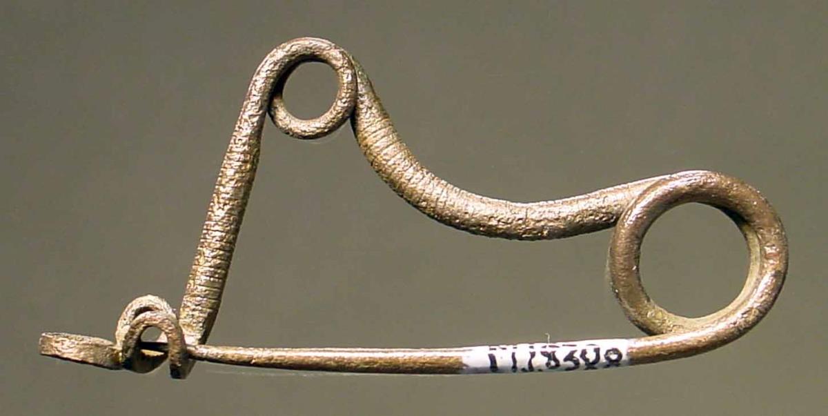 Schlangenfibel
