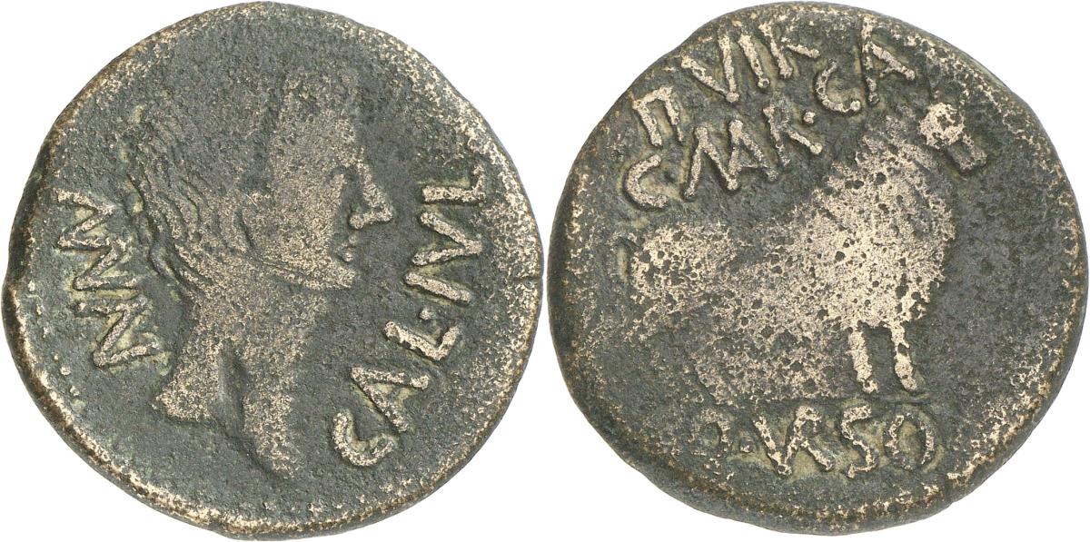 Calagurris