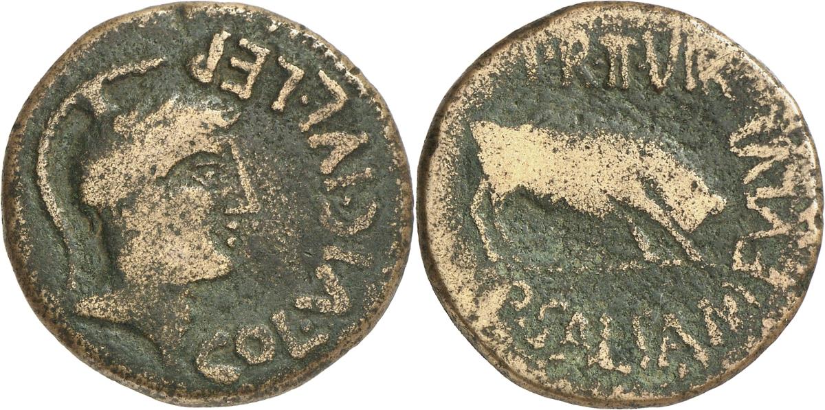 Lepida