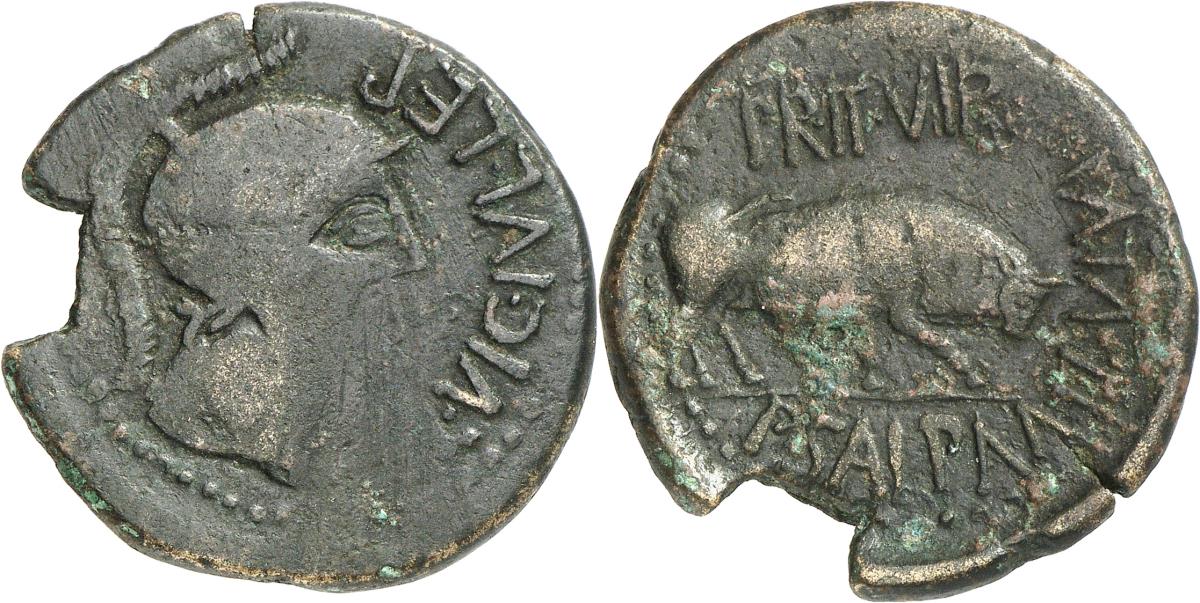 Lepida