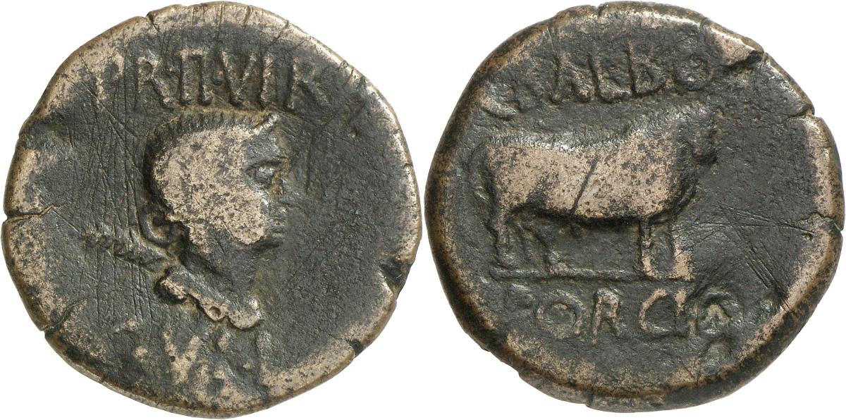 Lepida