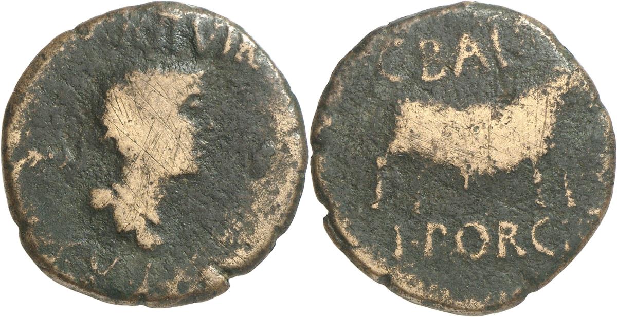 Lepida