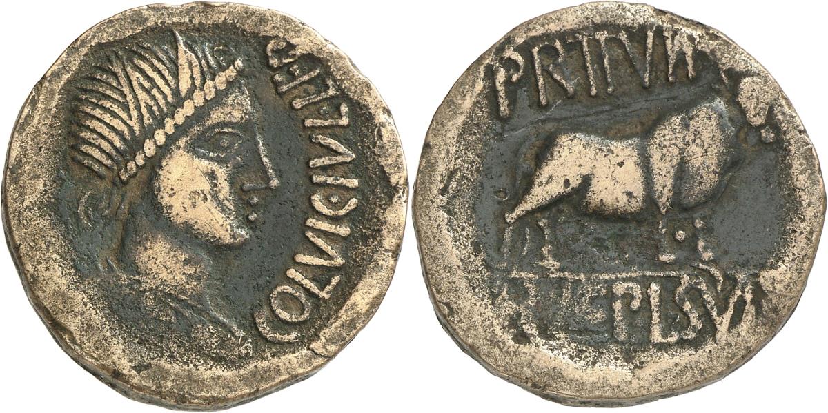 Lepida