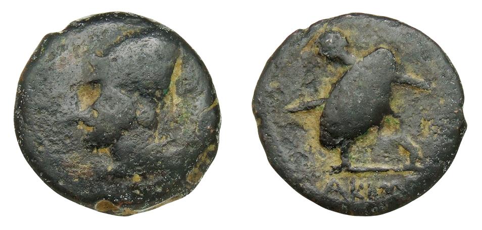 Ariminum (Rimini)