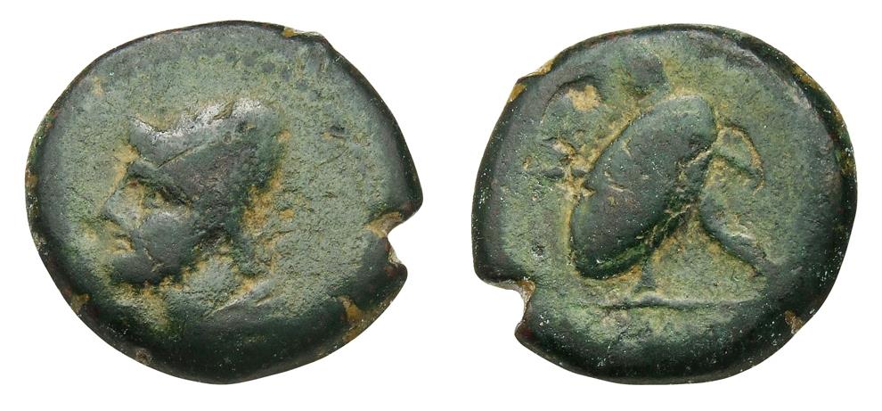 Ariminum (Rimini)