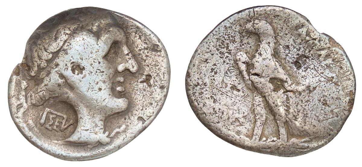 Ptolemäer: Ptolemaios I.