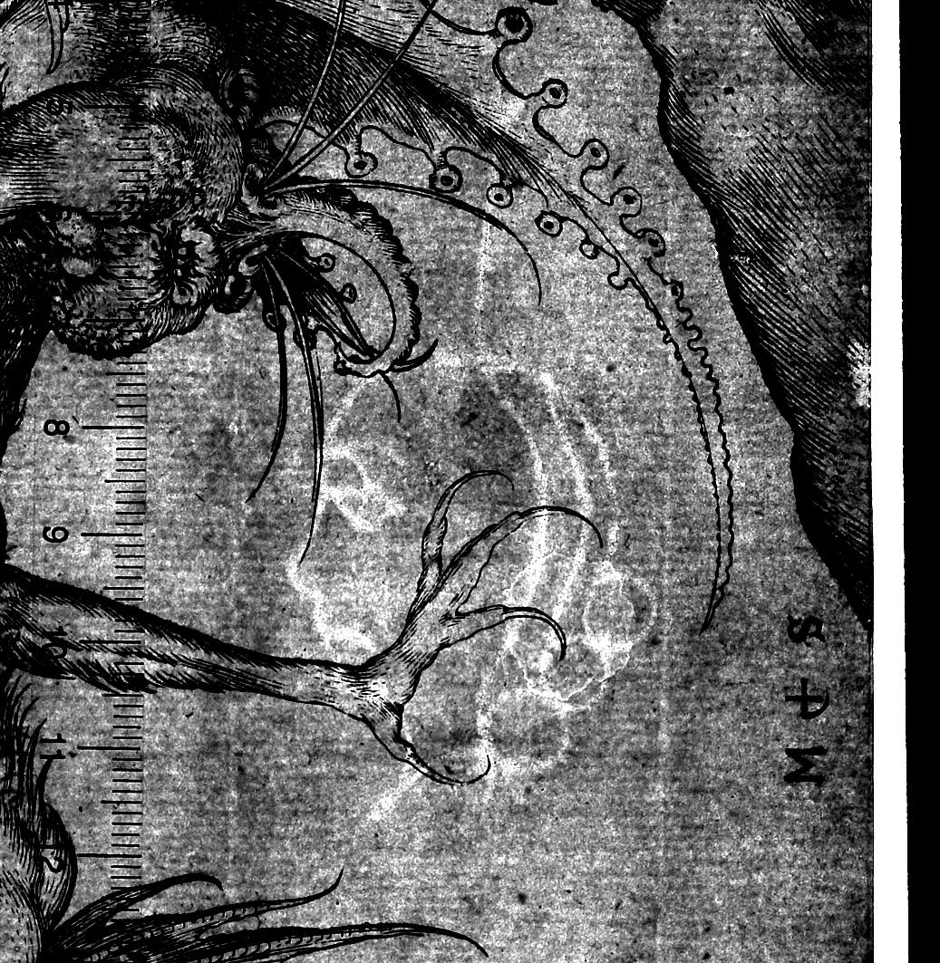 Der Heilige Antonius, von Dämonen geplagt (Versuchung des Hl. Antonius)